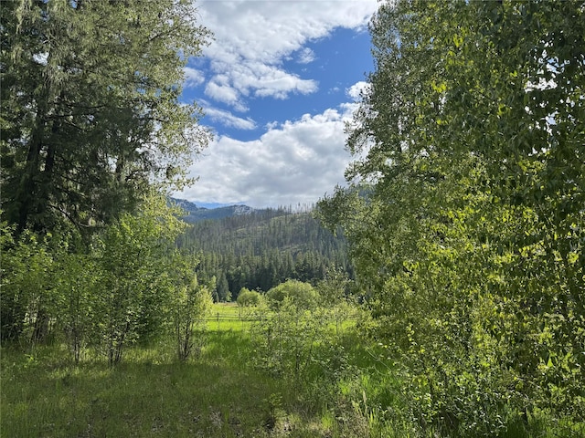 2 Cedar Grove Ln, Noxon, MT 59853 - mountain view with a heavily wooded area