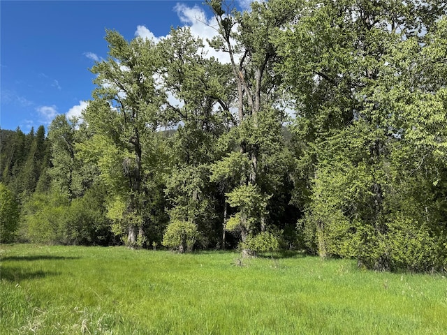 2 Cedar Grove Ln, Noxon, MT 59853 - view of tree filled area