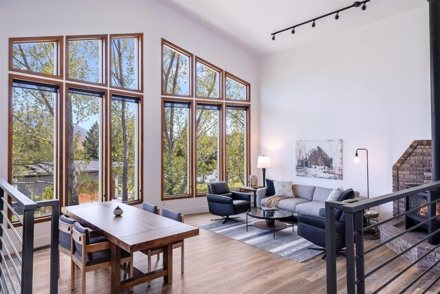 550 Talbot Rd, Columbia Falls, MT 59912 - living room featuring track lighting, a towering ceiling, and light wood finished floors