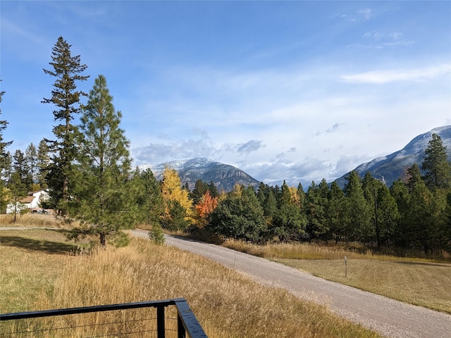 550 Talbot Rd, Columbia Falls, MT 59912 - view of mountain background featuring a forest
