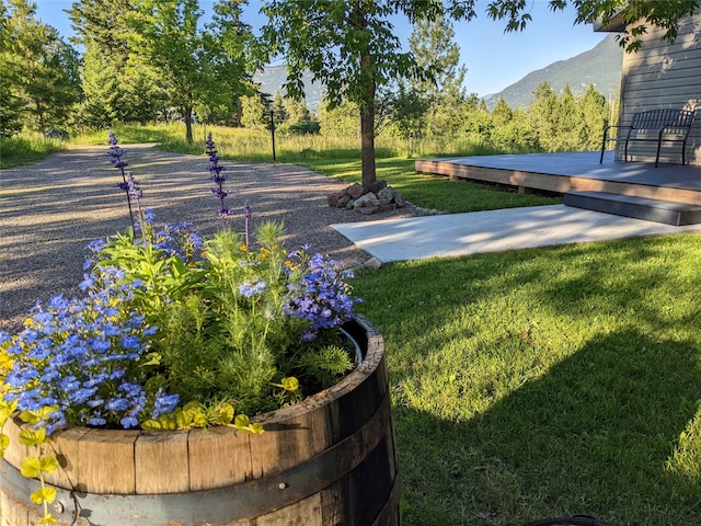 550 Talbot Rd, Columbia Falls, MT 59912 - view of home's community with a lawn and a deck with mountain view