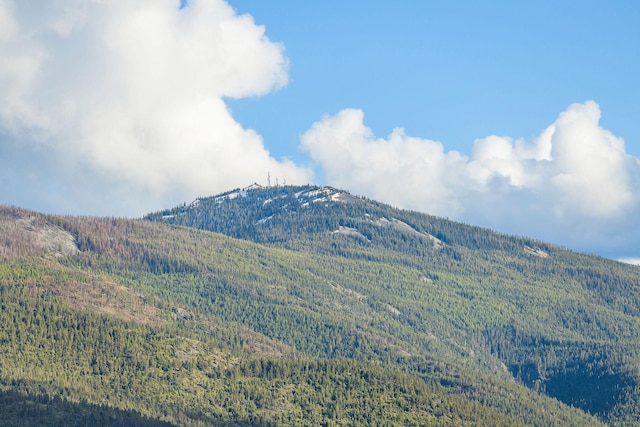 17 River Runs Ct, Plains, MT 59859 - view of mountain backdrop with a heavily wooded area