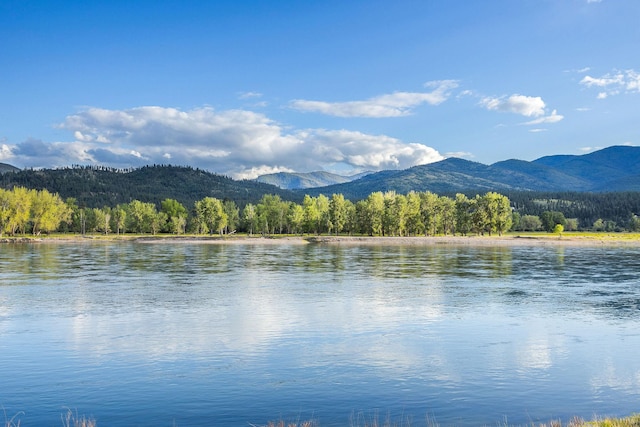 17 River Runs Ct, Plains, MT 59859 - water view featuring a forest and mountains