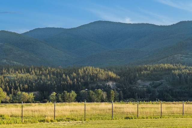 17 River Runs Ct, Plains, MT 59859 - mountain view with a forest and rural landscape
