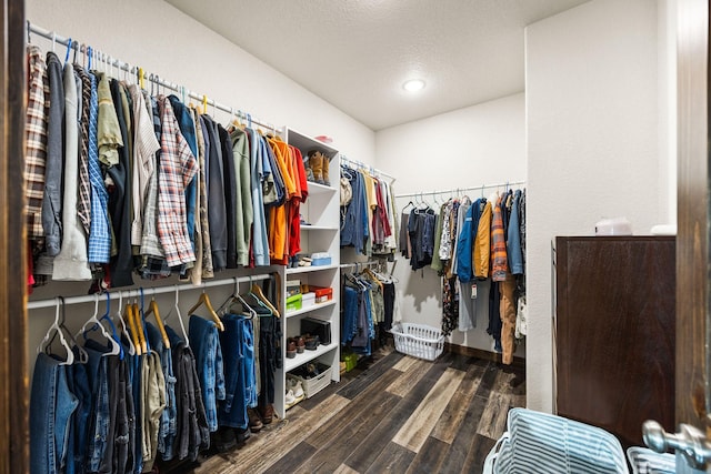 17 River Runs Ct, Plains, MT 59859 - walk in closet featuring wood finished floors