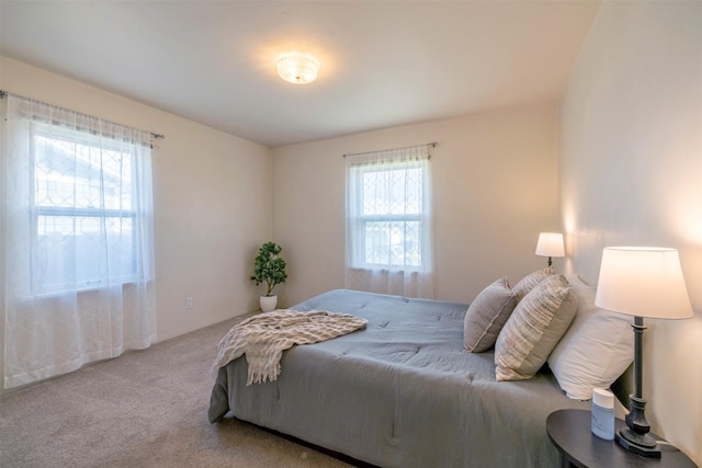 925 Hollins Ave, Helena, MT 59601 - view of carpeted bedroom