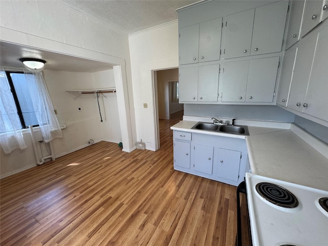 108 Meany St, Plains, MT 59859 - kitchen with a sink, electric range, light countertops, light wood finished floors, and crown molding