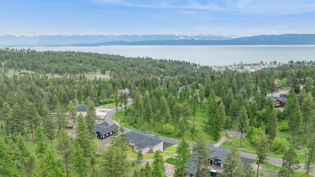 323 Skookum Rd, Lakeside, MT 59922 - aerial overview of property's location with a forest and a water and mountain view