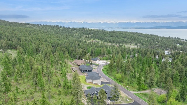 323 Skookum Rd, Lakeside, MT 59922 - aerial overview of property's location with a heavily wooded area and a water and mountain view