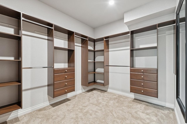 323 Skookum Rd, Lakeside, MT 59922 - spacious closet with carpet