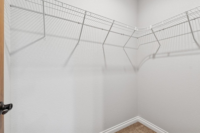 323 Skookum Rd, Lakeside, MT 59922 - walk in closet featuring carpet