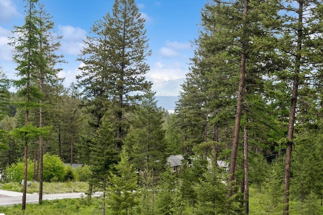 323 Skookum Rd, Lakeside, MT 59922 - view of mountain backdrop featuring a heavily wooded area