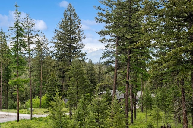 323 Skookum Rd, Lakeside, MT 59922 - view of wooded area