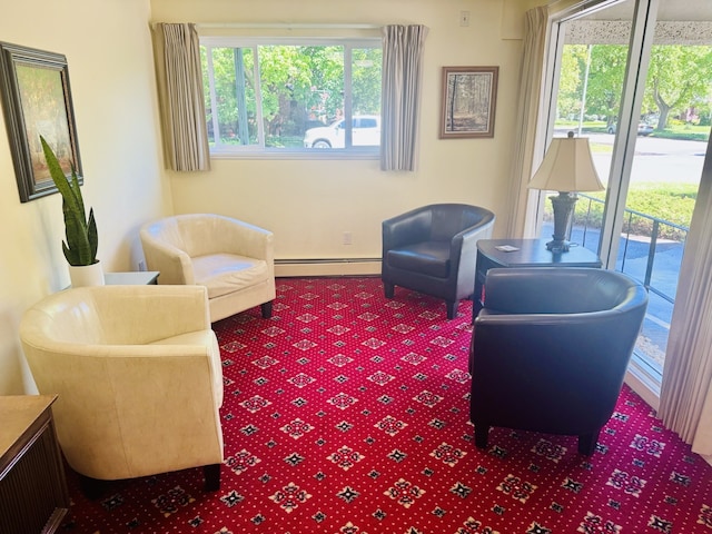 951 Ronald Ave Unit 410, Missoula, MT 59801 - sitting room with baseboard heating and carpet
