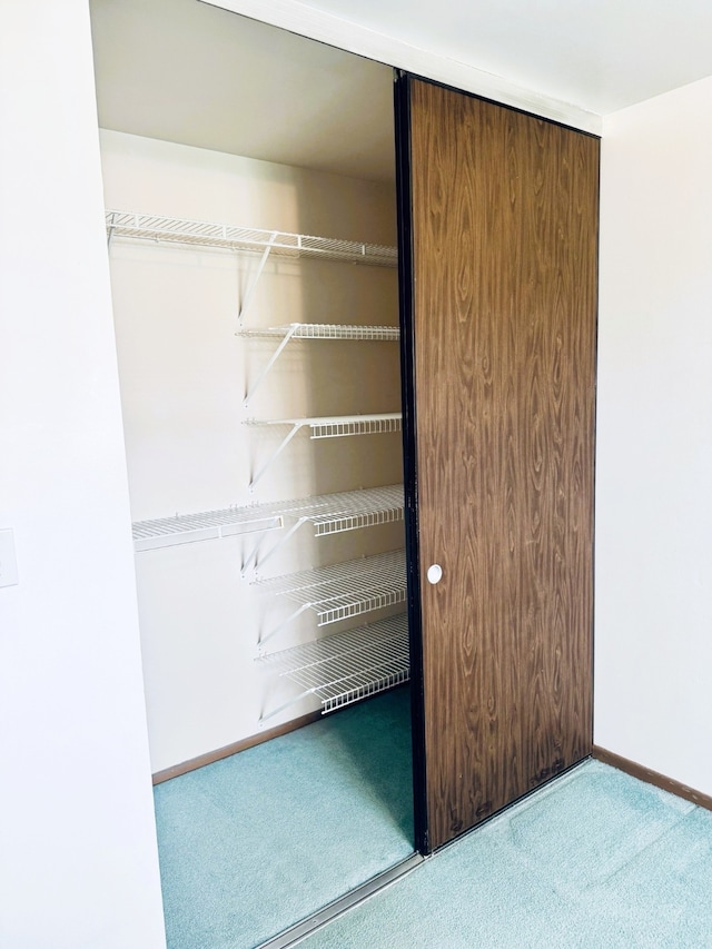 951 Ronald Ave Unit 410, Missoula, MT 59801 - view of closet