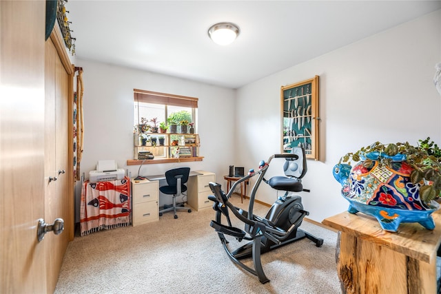 158 Parkside Dr, Kalispell, MT 59901 - exercise area with carpet flooring