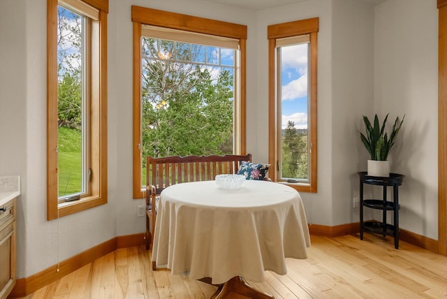 36665 Highland Ct, Polson, MT 59860 - dining area with light wood-type flooring and baseboards