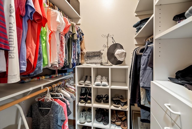 36665 Highland Ct, Polson, MT 59860 - view of spacious closet