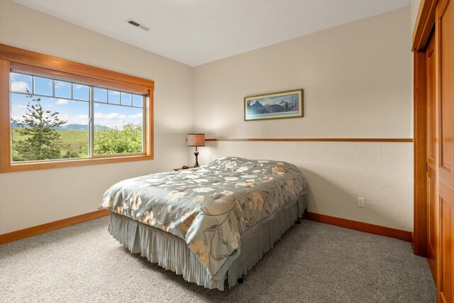 36665 Highland Ct, Polson, MT 59860 - bedroom featuring baseboards, light colored carpet, and a closet