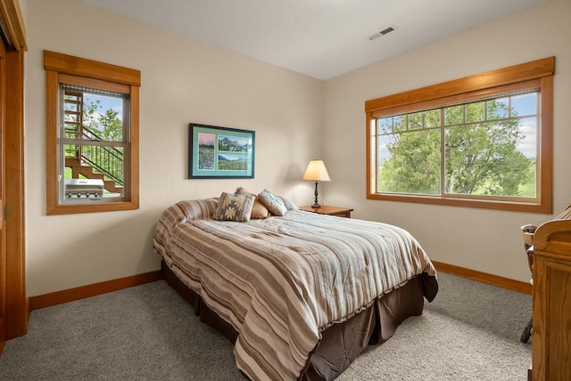 36665 Highland Ct, Polson, MT 59860 - bedroom featuring carpet flooring, baseboards, and multiple windows