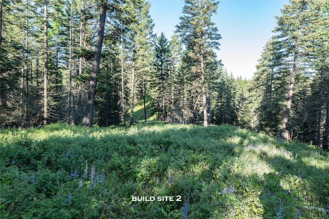 1382 La Brant Rd, Bigfork, MT 59911