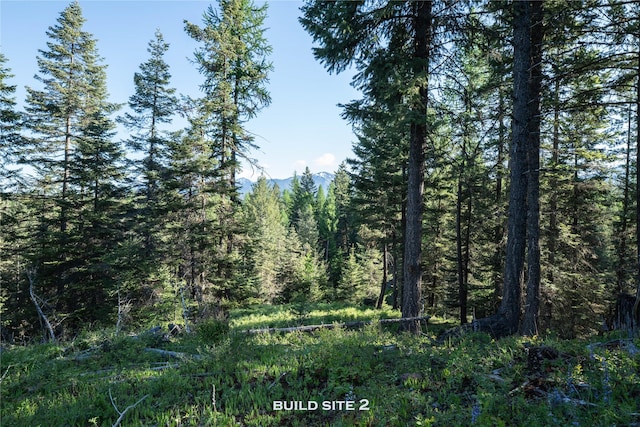 1382 La Brant Rd, Bigfork, MT 59911