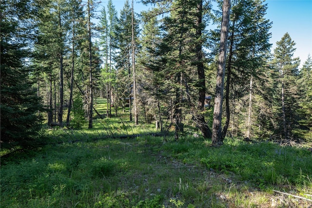1382 La Brant Rd, Bigfork, MT 59911