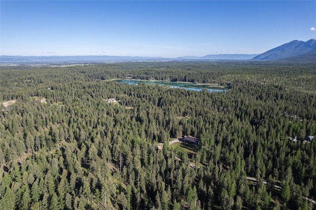 1382 La Brant Rd, Bigfork, MT 59911