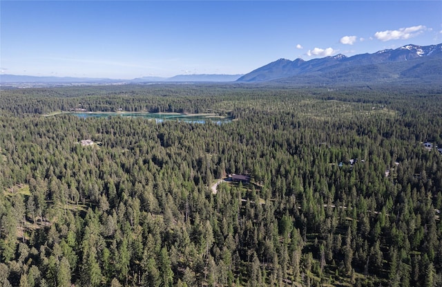 1382 La Brant Rd, Bigfork, MT 59911