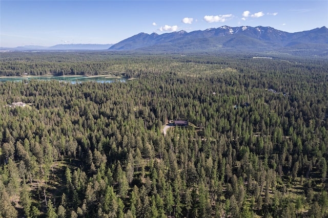 1382 La Brant Rd, Bigfork, MT 59911