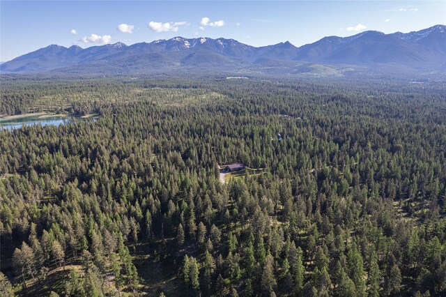 1382 La Brant Rd, Bigfork, MT 59911