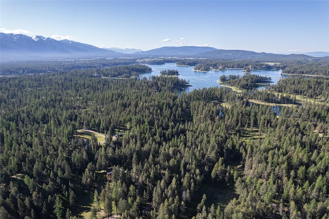 1382 La Brant Rd, Bigfork, MT 59911