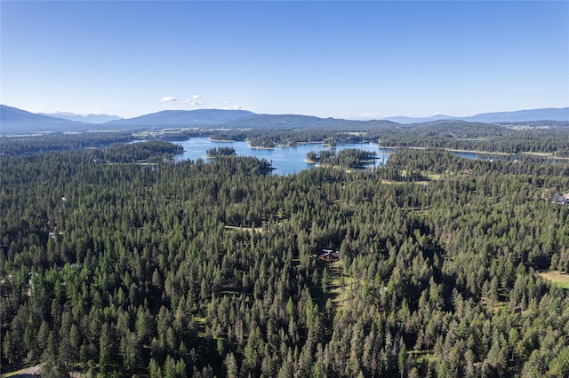 1382 La Brant Rd, Bigfork, MT 59911