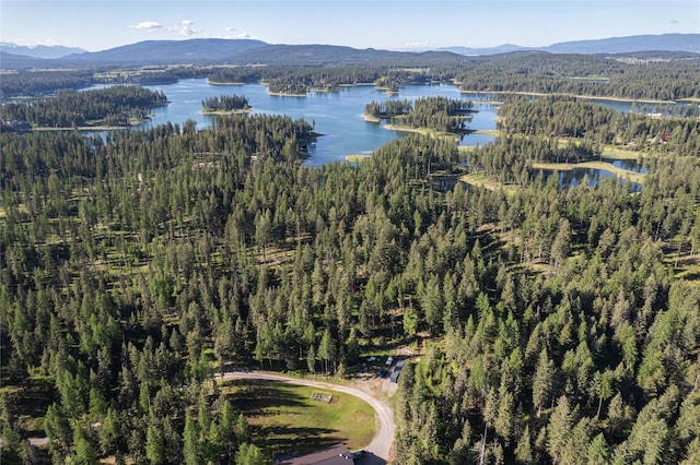 1382 La Brant Rd, Bigfork, MT 59911