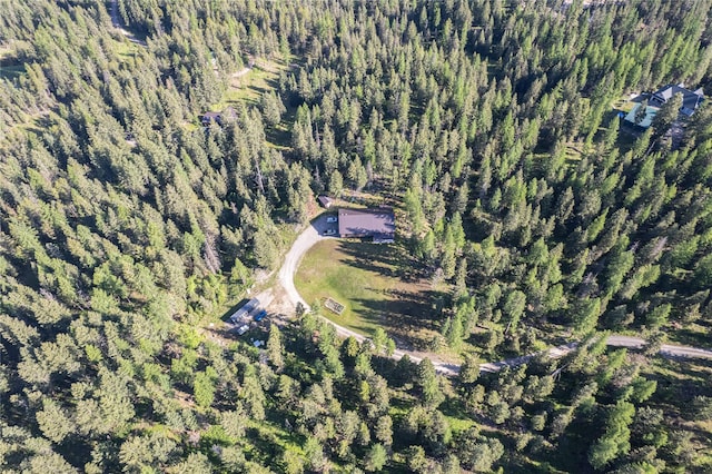 1382 La Brant Rd, Bigfork, MT 59911