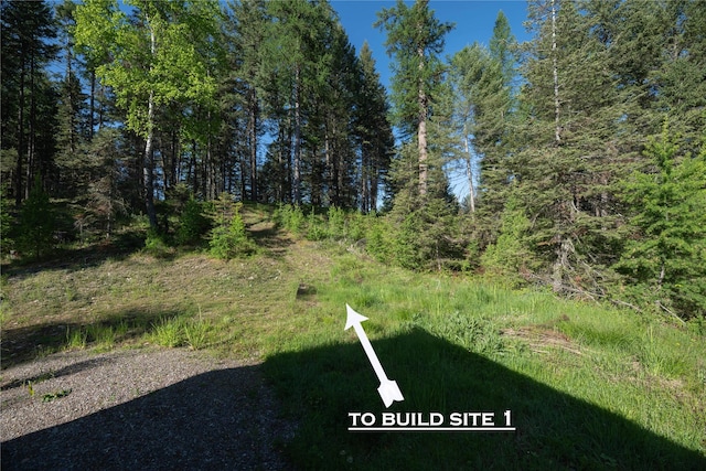 1382 La Brant Rd, Bigfork, MT 59911