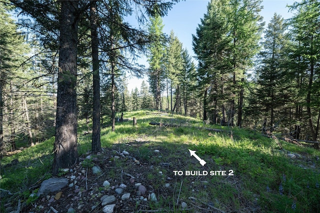 1382 La Brant Rd, Bigfork, MT 59911