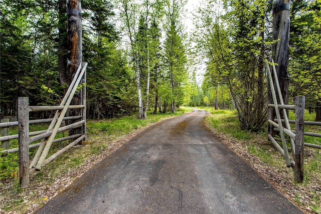 380 Haskill Basin Rd, Whitefish, MT 59937 - view of asphalt road featuring a forest view