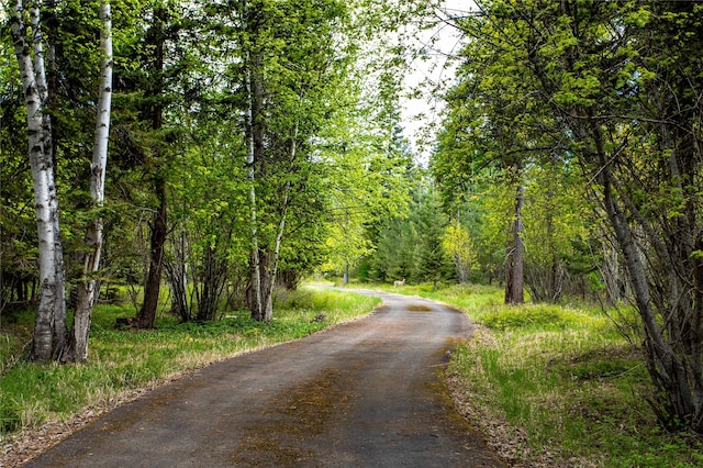 380 Haskill Basin Rd, Whitefish, MT 59937 - view of asphalt street with a forest view