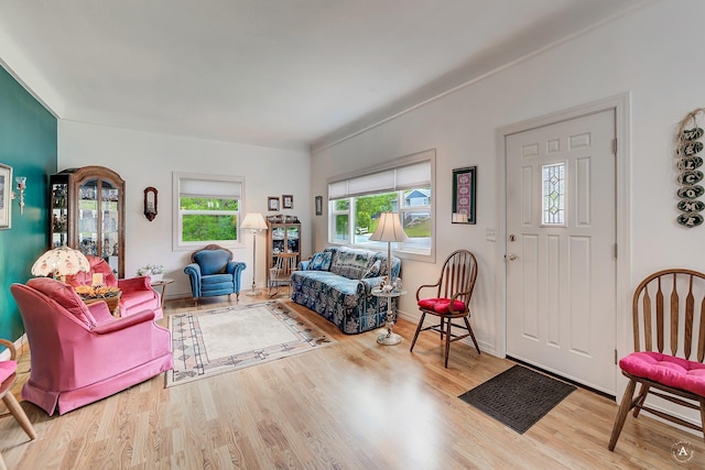 1502 Hauser Blvd, Helena, MT 59601 - living area featuring wood finished floors and baseboards