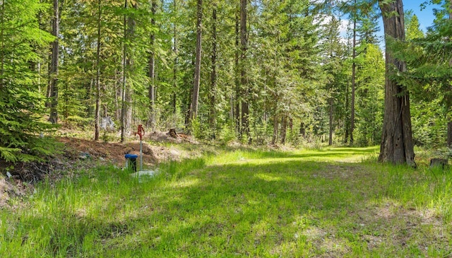 2178 Snowghost Dr, Whitefish, MT 59937