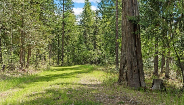2178 Snowghost Dr, Whitefish, MT 59937
