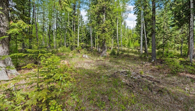 2178 Snowghost Dr, Whitefish, MT 59937