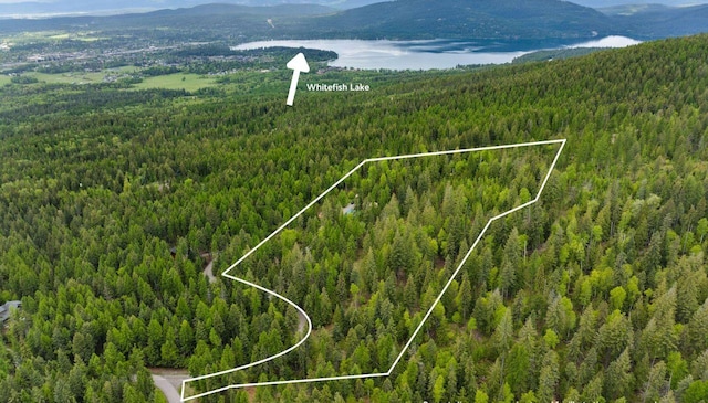 2178 Snowghost Dr, Whitefish, MT 59937