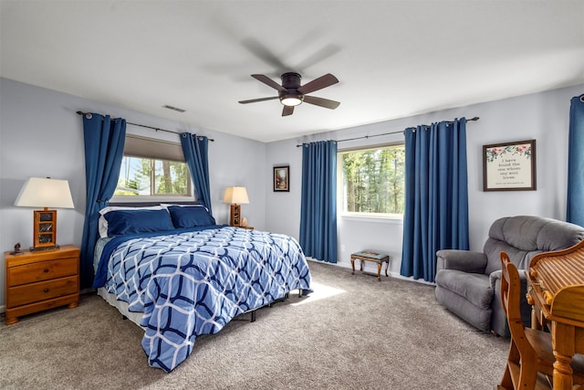100 Rimini Rd, Lakeside, MT 59922 - bedroom featuring carpet floors and a ceiling fan