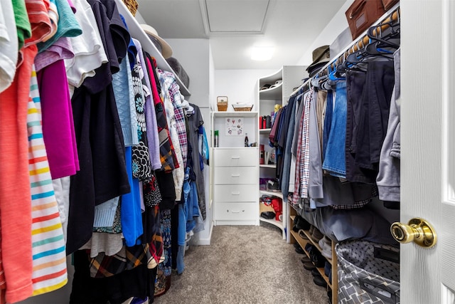 100 Rimini Rd, Lakeside, MT 59922 - spacious closet with attic access and carpet flooring