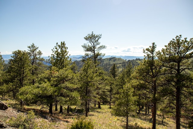 NHN Upper Sawmill Loop, Cascade, MT 59421
