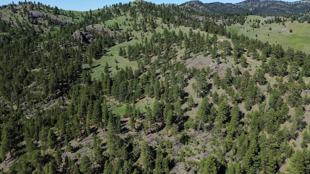 NHN Upper Sawmill Loop, Cascade, MT 59421