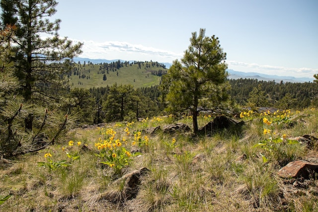 NHN Upper Sawmill Loop, Cascade, MT 59421