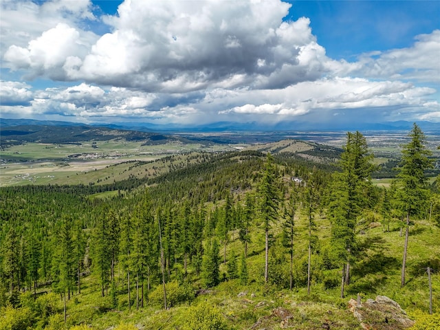 202 Soler Run, Kalispell, MT 59901